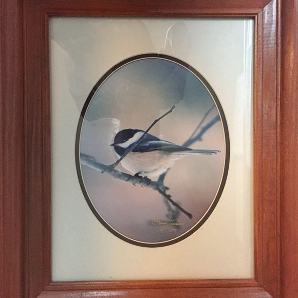 Black Capped Chicadee Photograph Framed Signed Numbered Bird Maria Lenon Art - Picture 2 of 9